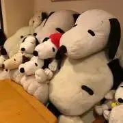 ぴぴたんの画像