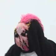 オレンジペンギン