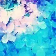 リン子＊必ずプロフ読んでください