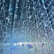 のこのこの画像