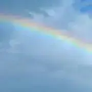 cotchiの画像