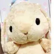 m☆購入前にコメント下さい自己紹介必読！の画像