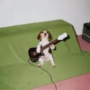 まおの画像