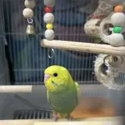 豪ママ