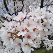 rumi［大整理中］の画像