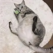 天野の画像