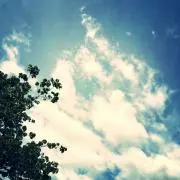 MTKの画像