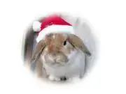 Mirukun75の画像