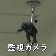 パキラ