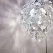 Lino♡フォロー割ありの画像