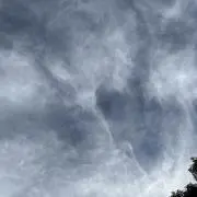 Rの画像
