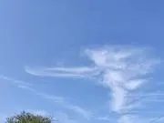 にゃの画像