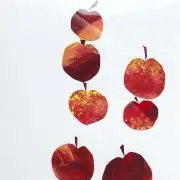 usakoの画像