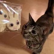 り