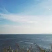 ハヤシ