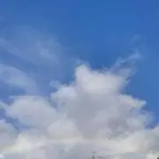 mr