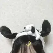 こるちゃんの画像