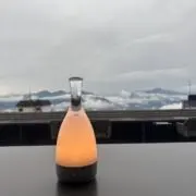 nikoneko