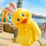 chipiの画像