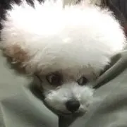 プーララ☆〜(^_−)−☆