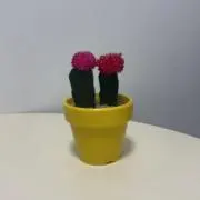 jamの画像