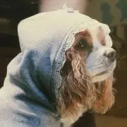 aco