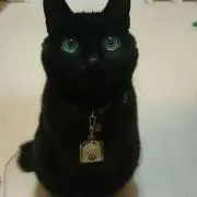 あんず