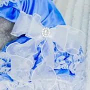 わんこのお洋服屋♪再開致しますの画像