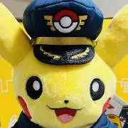 ぽんちの画像