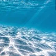 ma. ※プロフ必読の画像