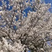 KEEEEENの画像