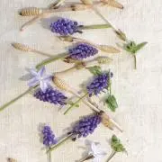 ozozoz.kの画像