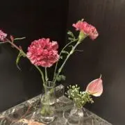 ネネの画像