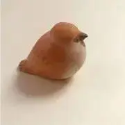 はちの画像