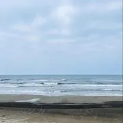 ビビンバの画像
