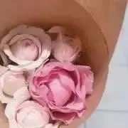 みゆの画像