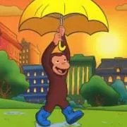 monkey rain