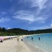 はら（一部商品は6月の配送となります）の画像