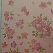 miraiの画像