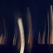 抜け忍の画像