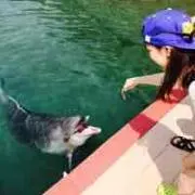 muの画像