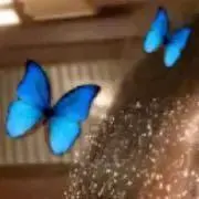 エアの画像