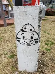 ぴろの画像
