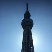 ゆーまの画像