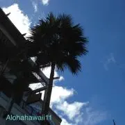 Alohahawaii11