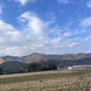 Rrの画像