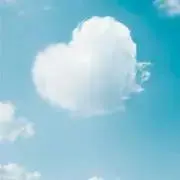 チョコの画像