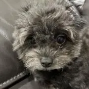 キャサリンの画像