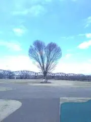 Mooの画像