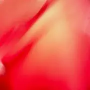 あゆの画像